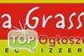 Pizzeria DaGrasso Gogw poszukuje pracownikw !!!