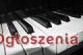 Klawiszowiec szuka zespou